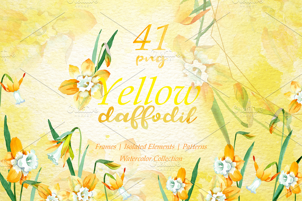 Yellow daffodil Watercolor png in Illustrations - product preview 8