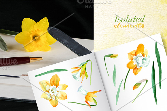 Yellow daffodil Watercolor png in Illustrations - product preview 4