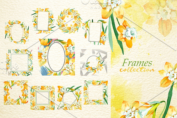 Yellow daffodil Watercolor png in Illustrations - product preview 5