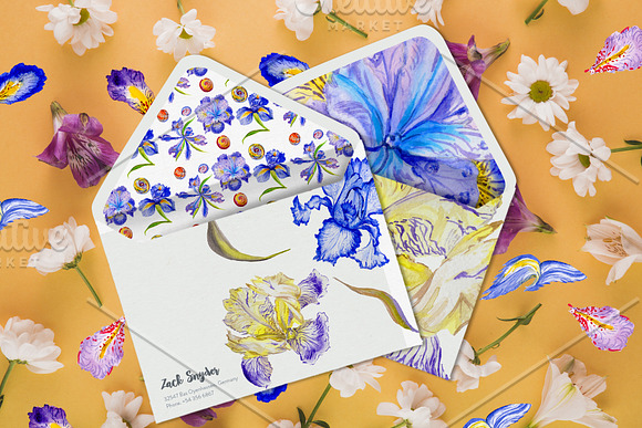 Iris blue Watercolor png in Illustrations - product preview 2