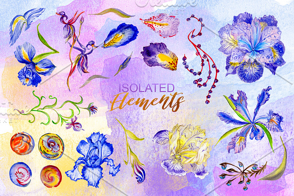 Iris blue Watercolor png in Illustrations - product preview 4