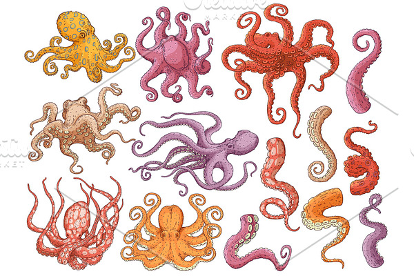 Vector yellow octopus sketch marine