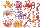 Vector yellow octopus sketch marine