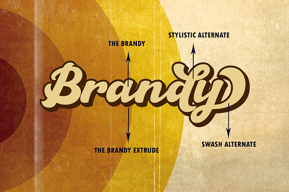 The Brandy Bold Retro Script in Retro Fonts - product preview 7