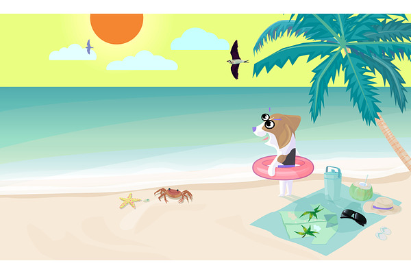 Beagle dog wear swim ring on beach.