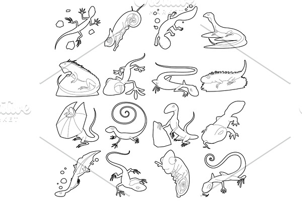 Lizard type animals icons set