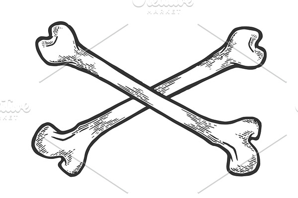 Crossed bones sketch engraving
