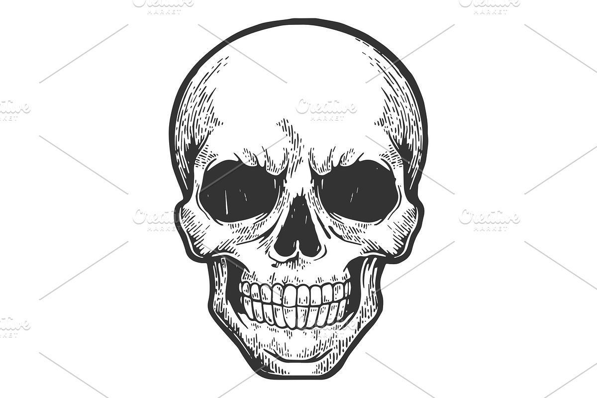 Human skull sketch engraving vector in Illustrations - product preview 8
