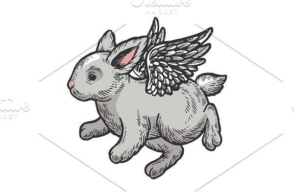 Angel flying baby bunny color