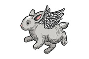 Angel flying baby bunny color