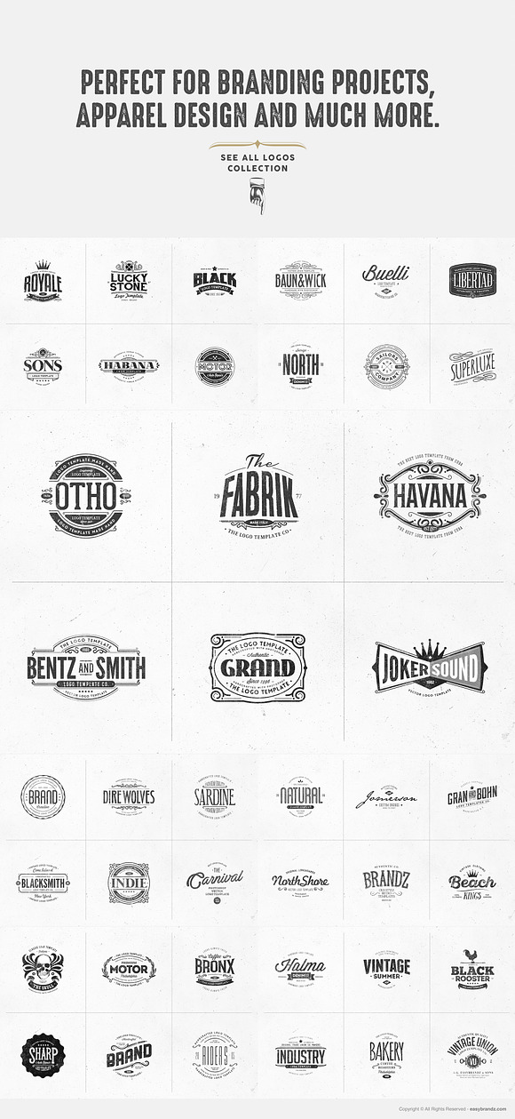 42 Logo Templates Bundle in Logo Templates - product preview 2