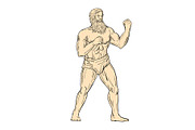 Hercules In Boxer Fighting Stance