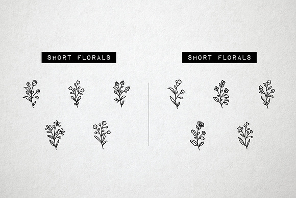 60 Flower and Floral Icons - Vol 2 in Flower Icons - product preview 6