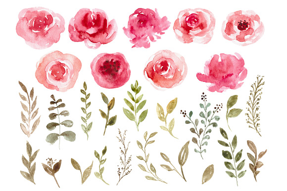 Watercolor Floral Elements Clipart in Illustrations - product preview 1