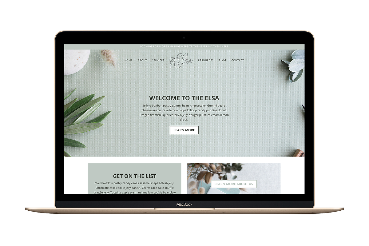 The Elsa -Divi Child Wordpress Theme in WordPress Business Themes - product preview 8