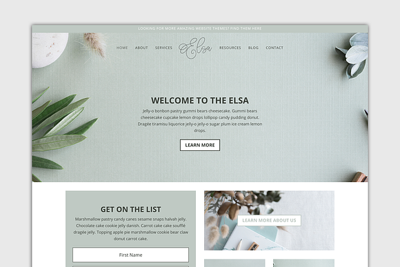 The Elsa -Divi Child Wordpress Theme in WordPress Business Themes - product preview 1
