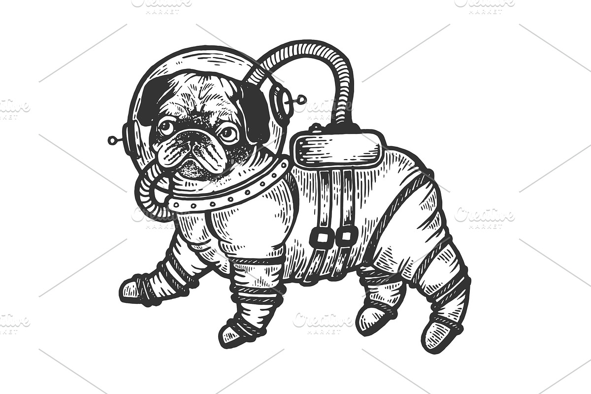 Pug puppy in armour space suit in Illustrations - product preview 8