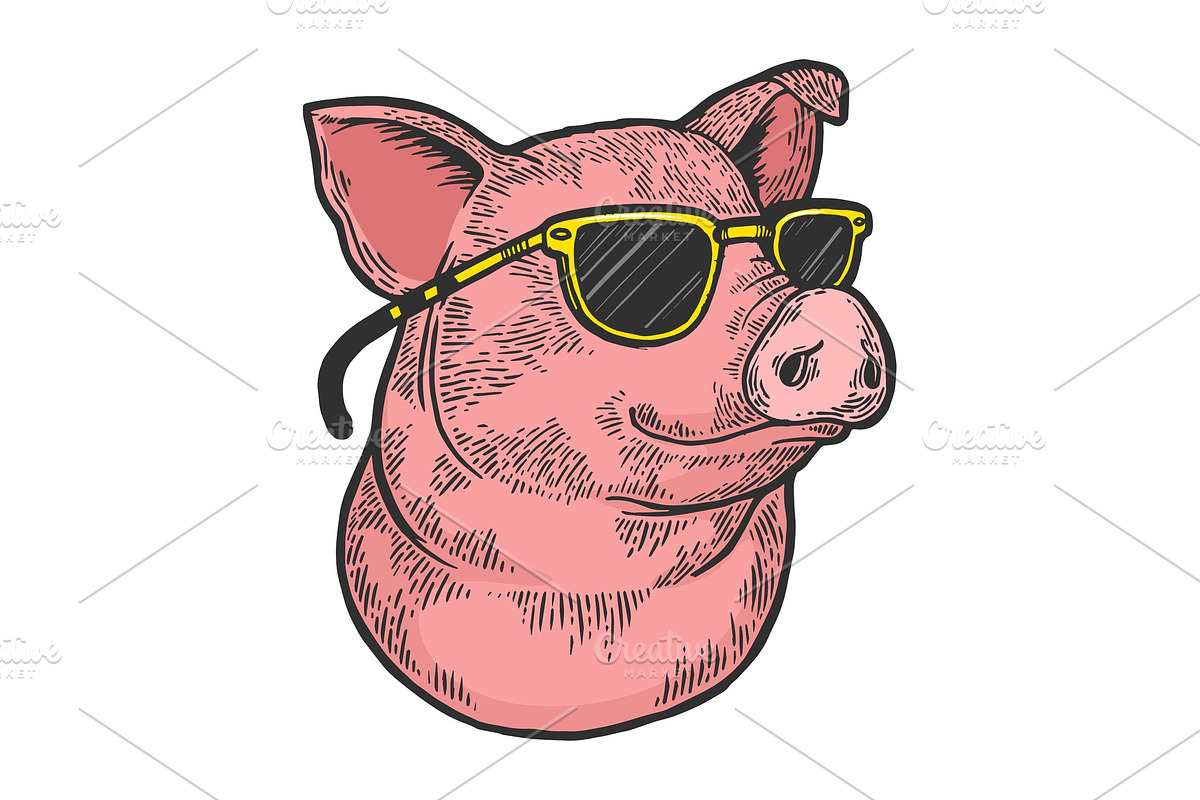 Pig in sunglasses color sketch in Illustrations - product preview 8