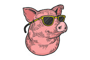 Pig in sunglasses color sketch