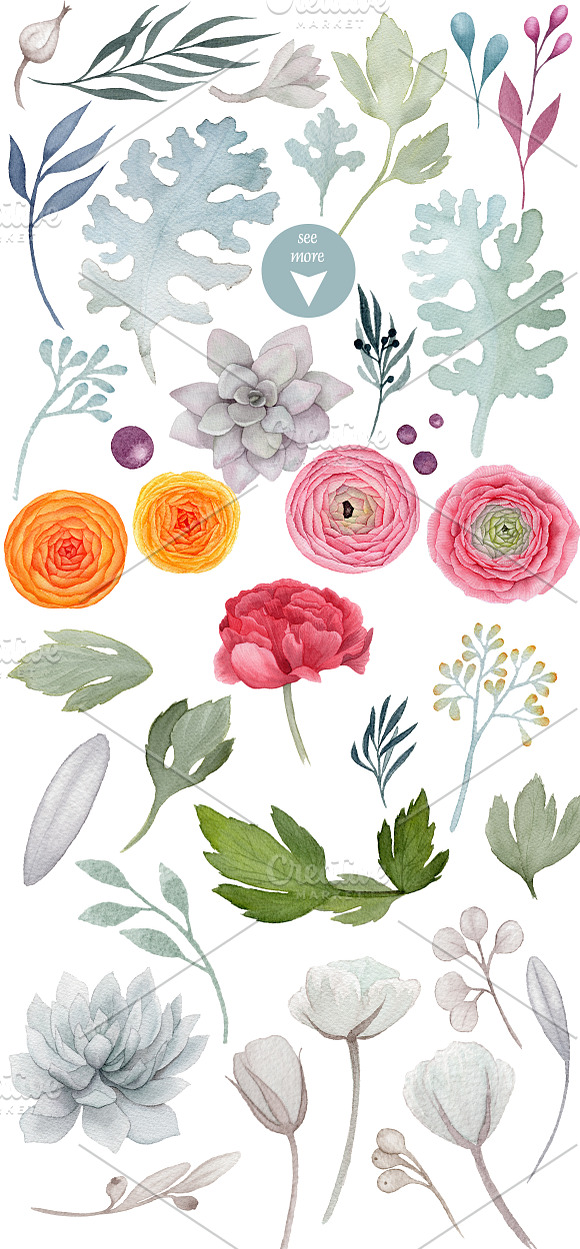 Fantasia. Watercolor flowers pack in Illustrations - product preview 1