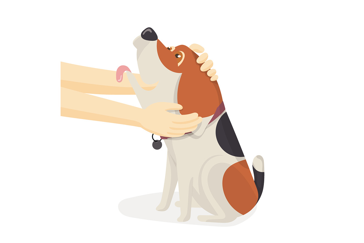 Human hand embrace adorable dog. in Illustrations - product preview 8