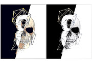 Skull illustration.Retro skull print