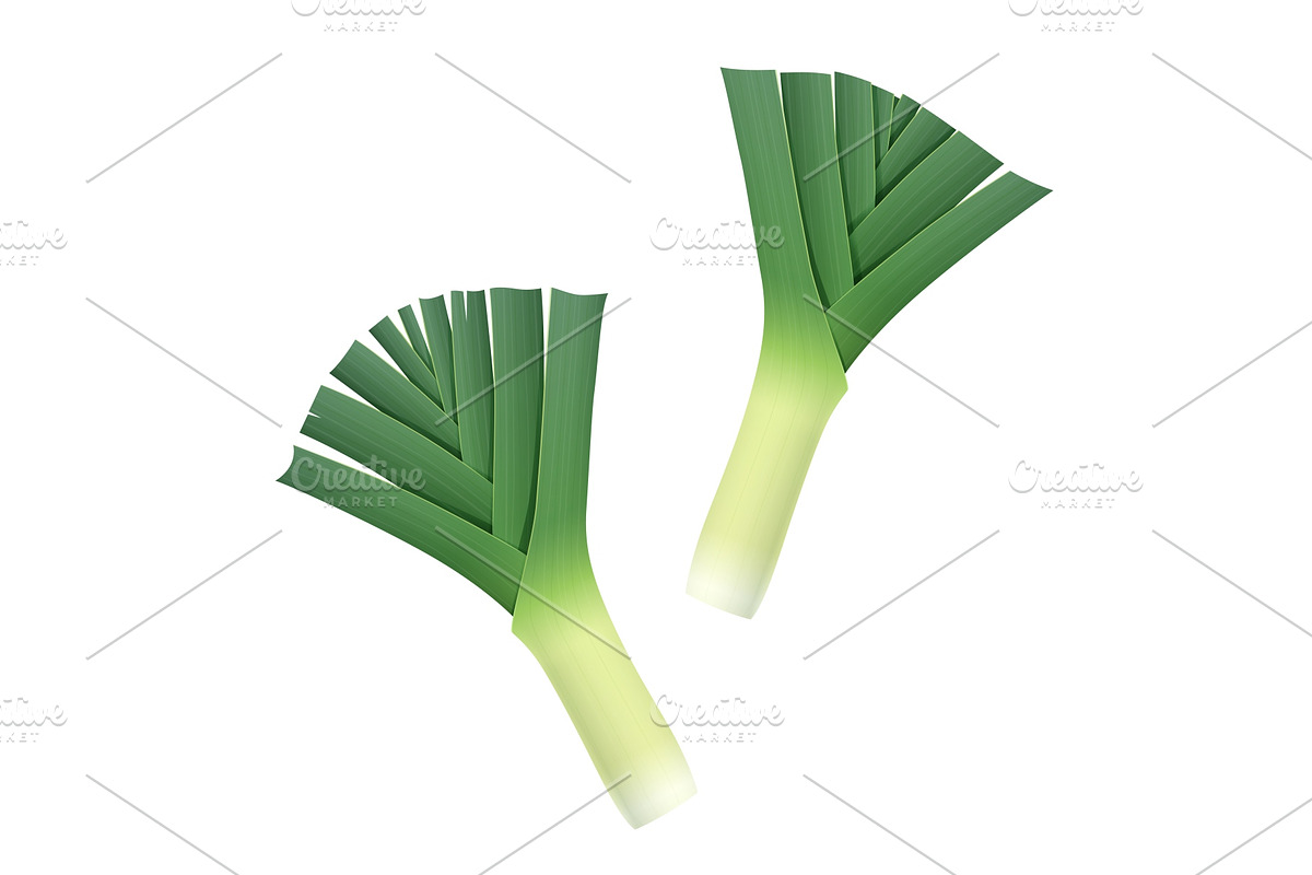 Onion leek. Ripe green vegetable. in Illustrations - product preview 8