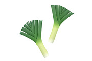 Onion leek. Ripe green vegetable.