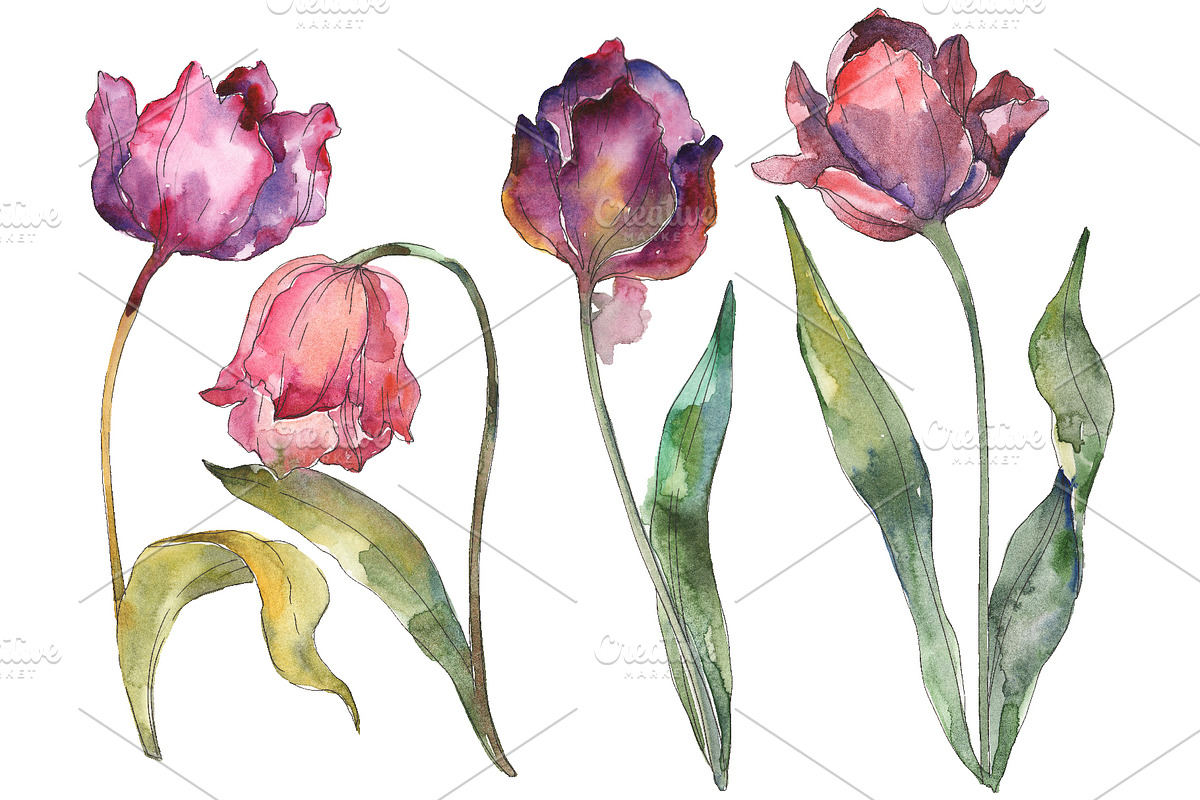 Tulips Watercolor png in Illustrations - product preview 8