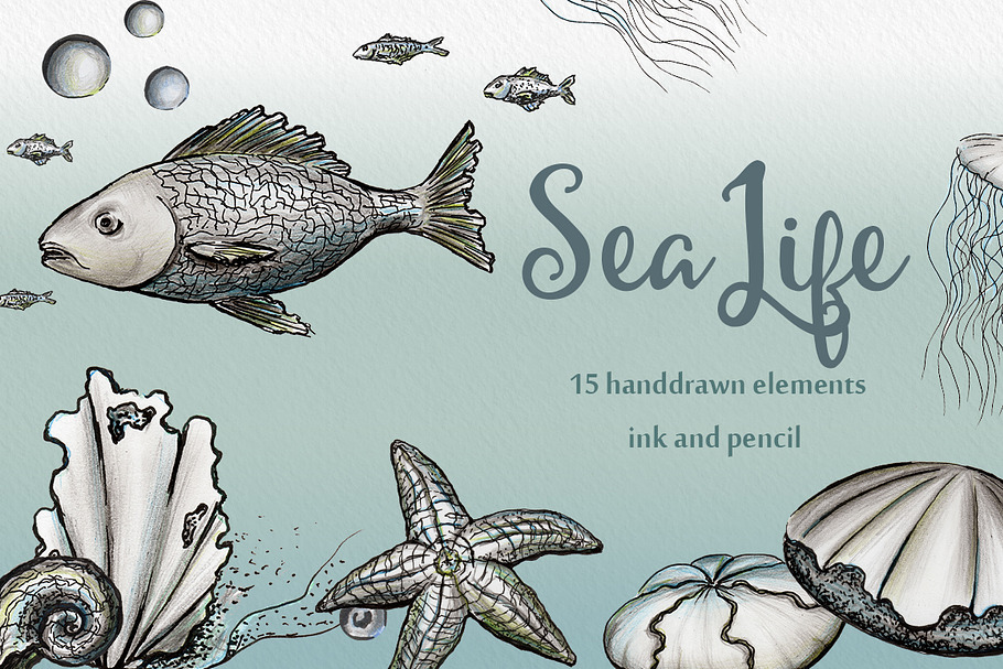 Sea Life - Ink & pencil pack in Illustrations - product preview 8