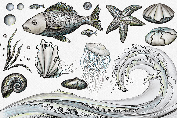 Sea Life - Ink & pencil pack in Illustrations - product preview 1