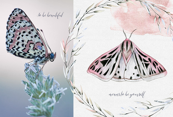 Mavra. Watercolor graphic set in Illustrations - product preview 2
