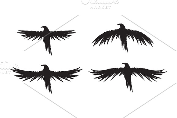 Black raven crow body and wings. in Objects - product preview 1