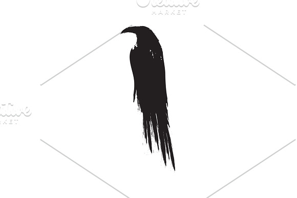 Black raven crow body and wings. in Objects - product preview 3