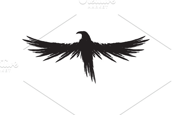Black raven crow body and wings. in Objects - product preview 4