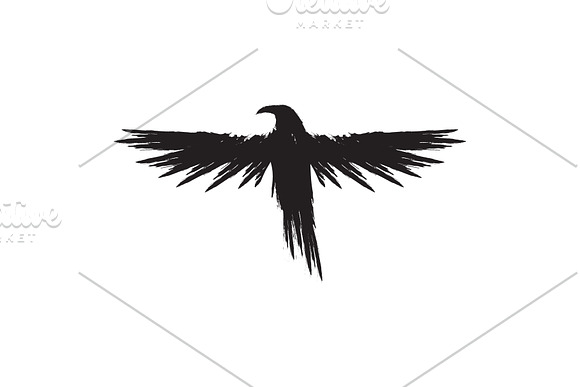 Black raven crow body and wings. in Objects - product preview 5