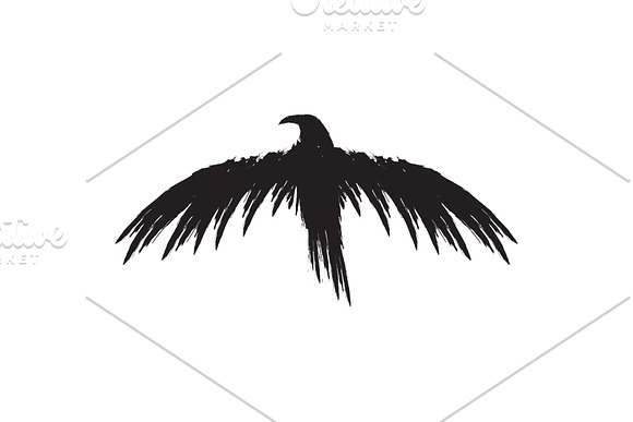 Black raven crow body and wings. in Objects - product preview 6