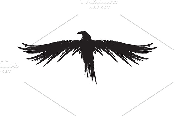 Black raven crow body and wings. in Objects - product preview 7