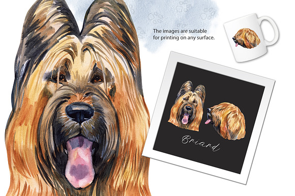 Watercolor dog. Briard in Illustrations - product preview 1