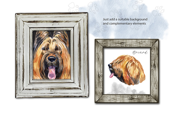 Watercolor dog. Briard in Illustrations - product preview 2