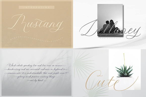 Handwritten Fonts Collection in Hand-lettered Fonts - product preview 45