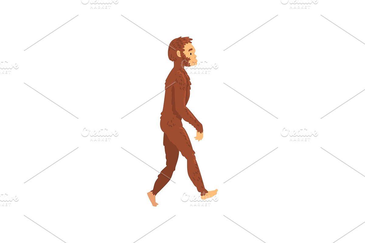 Homo Erectus, Biology Human in Illustrations - product preview 8