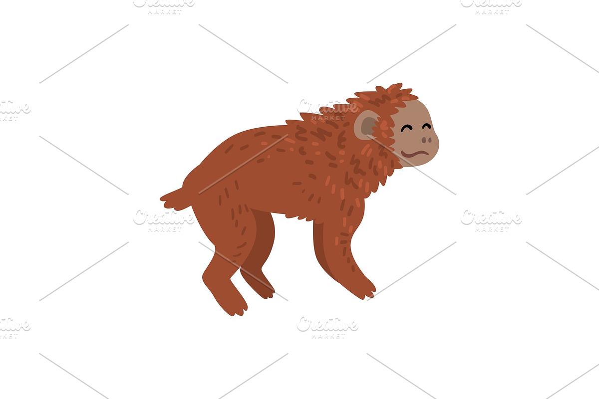 Ape, Monkey Animal Progress Stage in Illustrations - product preview 8