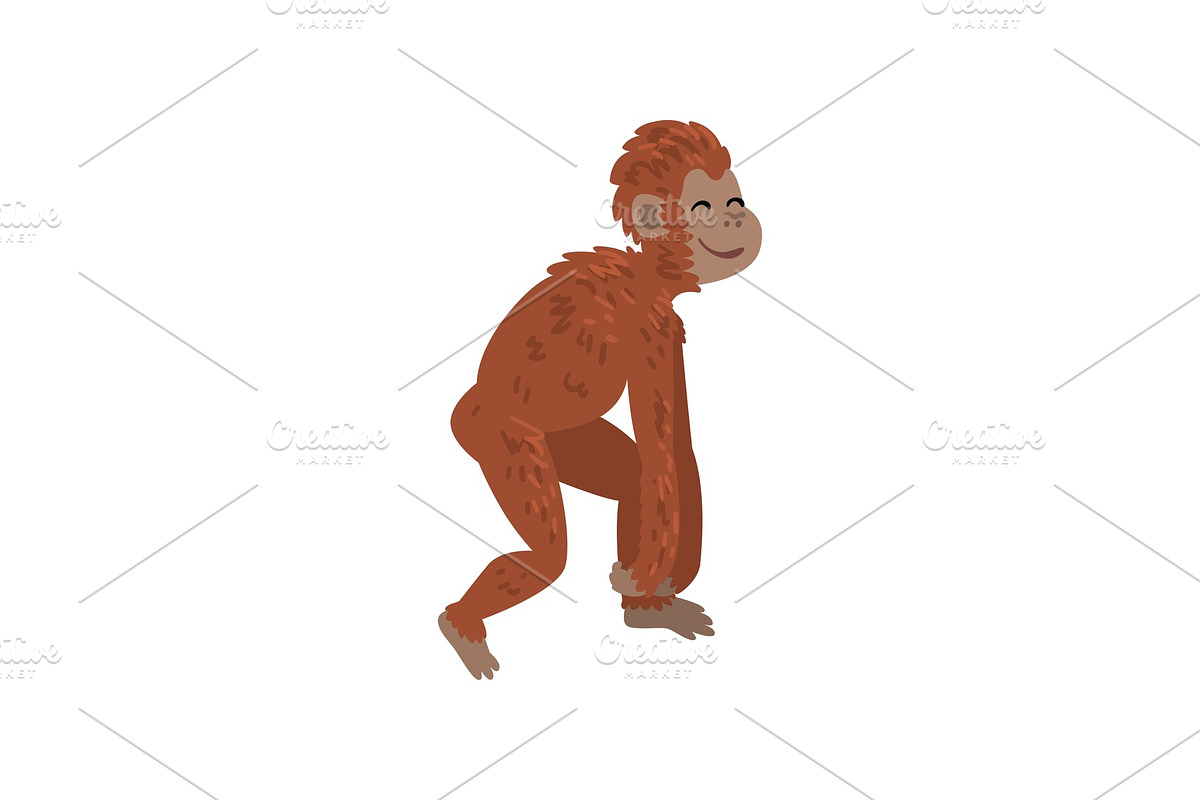 Ape, Monkey Animal Progress in Illustrations - product preview 8