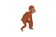 Ape, Monkey Animal Progress