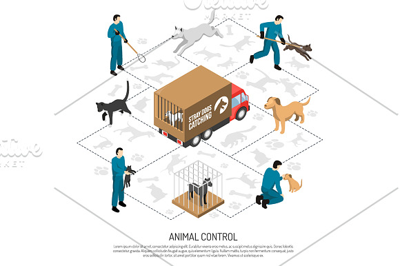 Animal Control Isometric Set in Illustrations - product preview 2