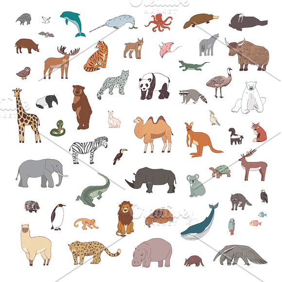 Animals World Map in Illustrations - product preview 4