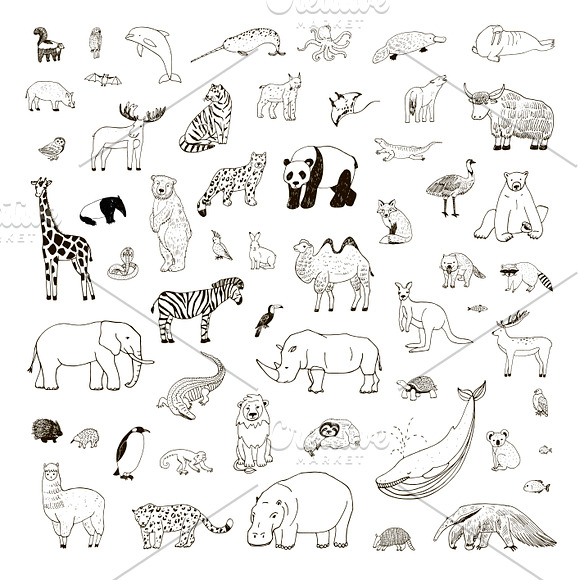 Animals World Map in Illustrations - product preview 5