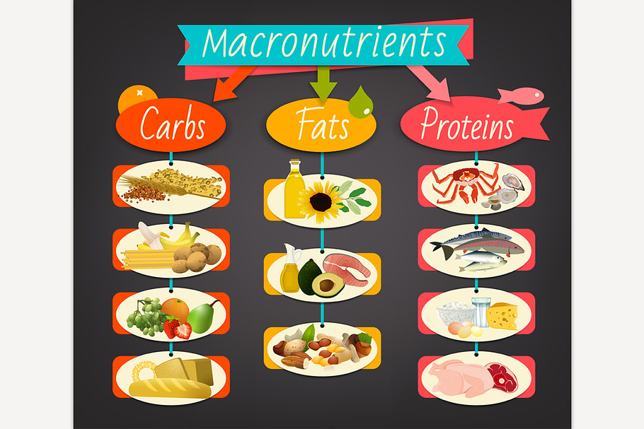 Macronutrients landscape poster in Illustrations - product preview 8