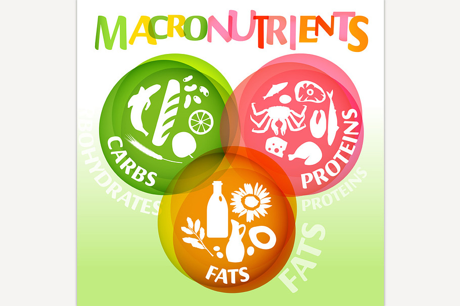 Main food groups macronutrients in Illustrations - product preview 8